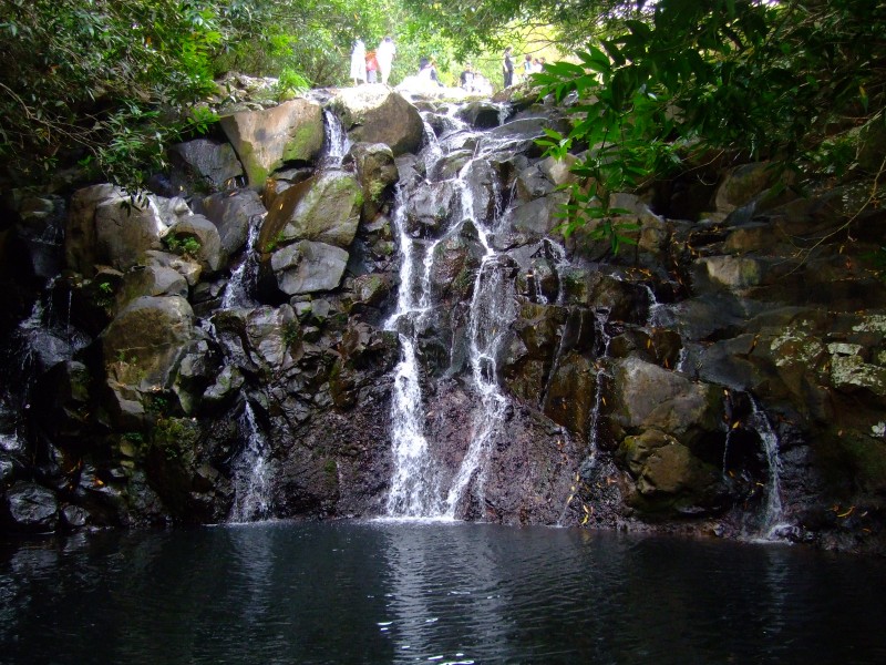 Mauritius 2010 - 0287 